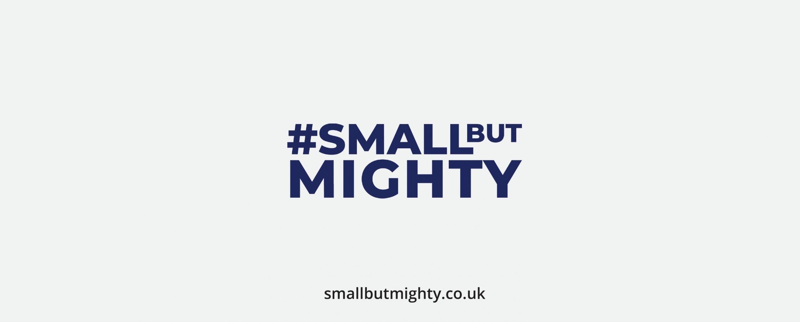 What Is The Meaning Of Small But Mighty